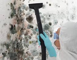 Mold Odor Removal Services in Redland, MD